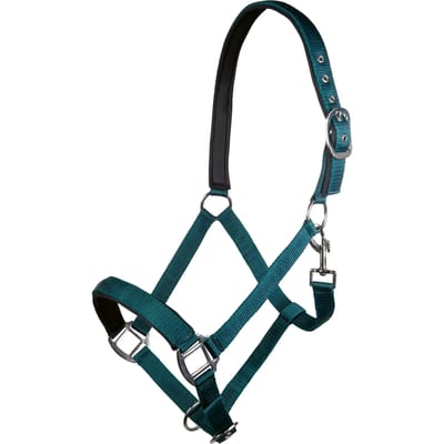 Nylon halster voor paard met zachte voering HKM Charming