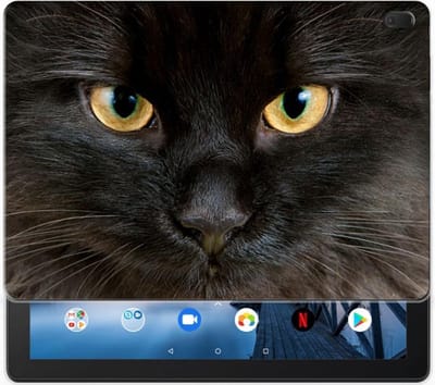 Lenovo Tab E10 Back Case Zwarte Kat