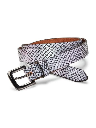 Riem Van Peter Hahn zilverkleur