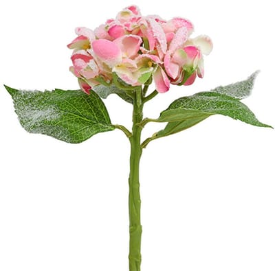 Hortensia roze met sneeuw 33cm 4 st
