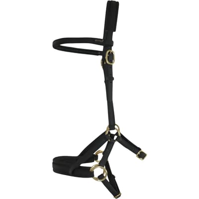 Hoofdstellen T de T Sidepull Biotack®