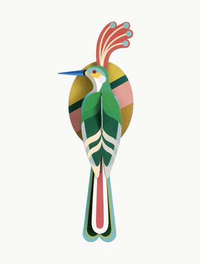 Studio Roof Paradise bird Nias