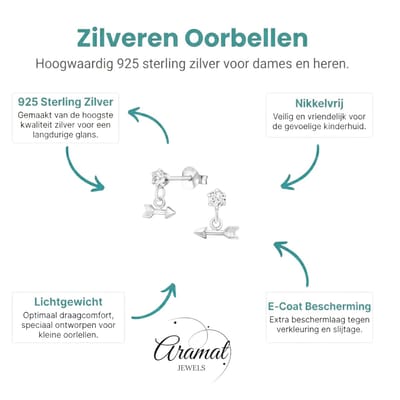 Aramat Jewels | Oorbellen | Oorbellen – Zilver Hanger Pijl Kristal (9x10mm) | | | |12mm | Zilver | Kinderen | Verkleurd niet