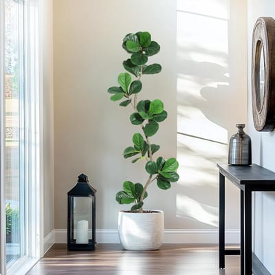 180cm Kunst vijgenbladboom met zwarte kweekpot - kunstplant met natuurlijke houten stam - S-vormige kunstficus voor decoratie woonkamer kantoor thuis