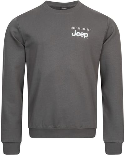 Jeep Heren Sweatshirt Met Ronde Hals Grijs - L