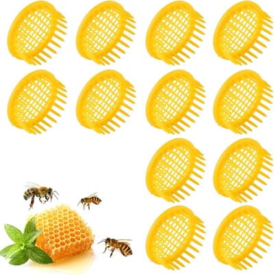 12 stuks Plastic Kweekbox voor Koninginnenbijen - Isolatie Koninginnencellen - Imkerijuitrusting-Belle's product