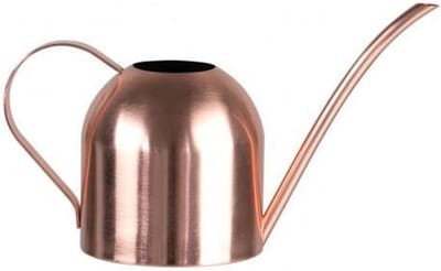 Water Gieter - Planten Besproeier - Planten Verzorgen - Lange Nauwe Tuit - 500 ml - Rosé Goud