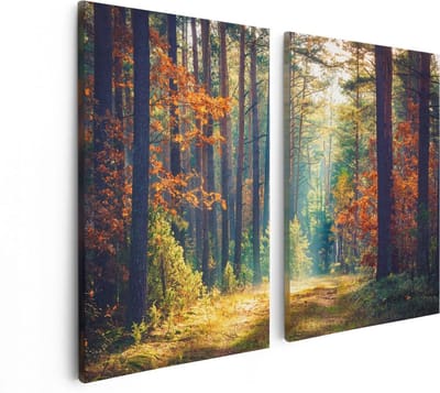 Artaza Canvas Schilderij Tweeluik Herfstbos Met Zonneschijn - Kleur - 80x60 - Foto Op Canvas - Canvas Print