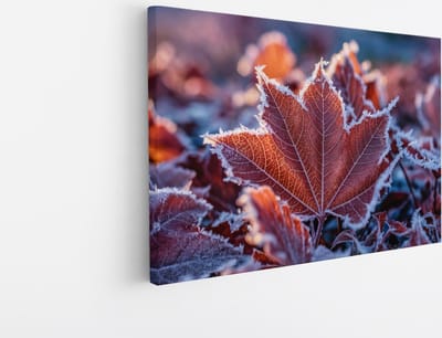 Saammp Canvas Schilderij - Bevroren Blad - Natuur - Abstract - 30x20 - Foto op canvas - Wanddecoratie - Muurdecoratie Woonkamer - Kantoor Decoratie