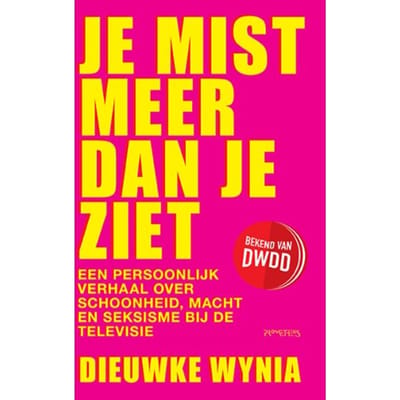 Je Mist Meer Dan Je Ziet - Dieuwke Wynia
