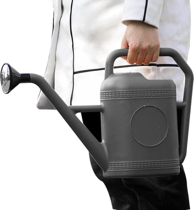 Gieter voor planten - Waterkan Kamerplant - Planten water geven - Dubbele handgreep - 5 liter - Grijs