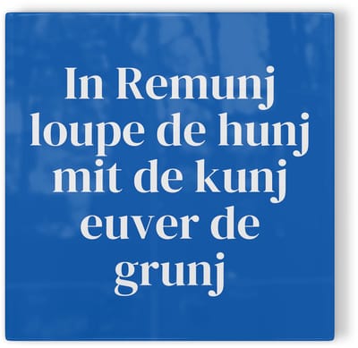 Tegeltje Roermond In Remunj loupe de hunj mit de kunj euver de grunj - blauw wit - tegeltje Roermond - tegeltje met tekst