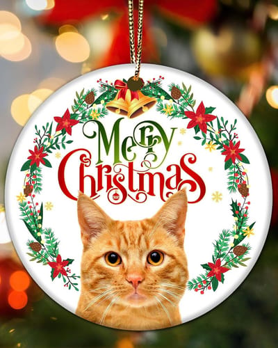 Kerstdecoratie kat - dubbelzijdig acryl - schattige hangdecoratie - perfect voor de kerstboom - ShopVlot