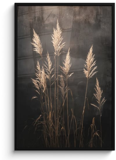 Poster in lijst - Fotolijst 80x120 cm - Posters - Siergras - Pluimen - Verlichting - Zwart - Posterlijst zwart - Decoratie - Wanddecoratie woonkamer - Muurdecoratie slaapkamer