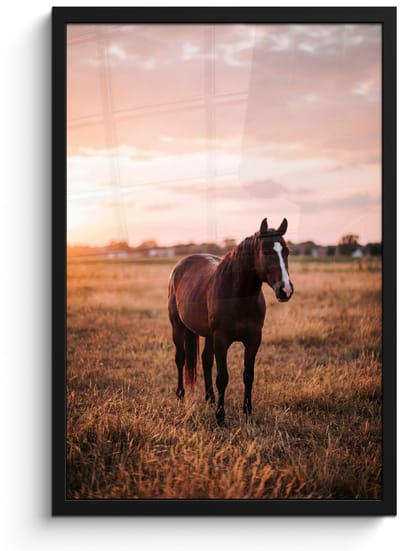 Poster in lijst - Fotolijst 40x60 cm - Posters - Paard - Zonsondergang - Bruin - Posterlijst zwart - Decoratie - Wanddecoratie woonkamer - Muurdecoratie slaapkamer