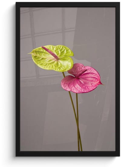 Poster in lijst - Fotolijst 40x60 cm - Posters - Planten - Anthurium - Groen - Roze - Posterlijst zwart - Decoratie - Wanddecoratie woonkamer - Muurdecoratie slaapkamer