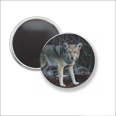 Button Met Magneet - Wolf - NIET VOOR KLEDING