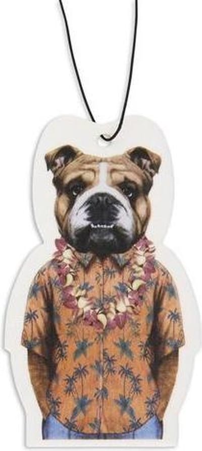 Airfreshener - Pitbull On Vacation