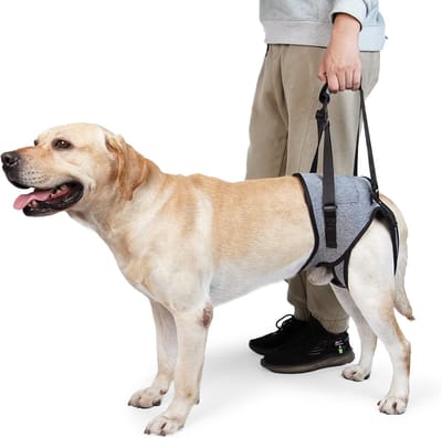 Hondentuig - Huisdier Harnas - Hondentuig - Groot hondentuig - Harnas voor oudere, gehandicapte en gewonde honden - Helpt bij artritis en ACL revalidatie - Grijs, XL