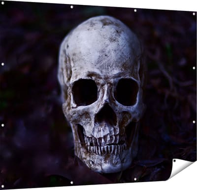 Gards Tuinposter Schedel - Doodshoofd - 150x120 cm - Tuindoek - Tuindecoratie - Wanddecoratie buiten - Tuinschilderij