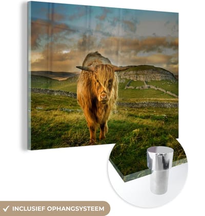 MuchoWow® Glasschilderij 160x120 cm - Schilderij acrylglas - Schotse Hooglander - Gras - Berg - Foto op glas - Schilderijen