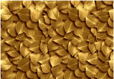 Fotobehangkoning - Behang - Vliesbehang - Fotobehang Gouden Bladeren - Golden Leaves - 300 x 210 cm
