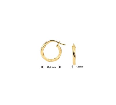 oorringen gedraaide buis 2,0 mm Zilgold (geel met zilverkern) 5000254