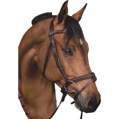 Bridon Paardrijden Muserolle Combiné met Filetsingel Equiline