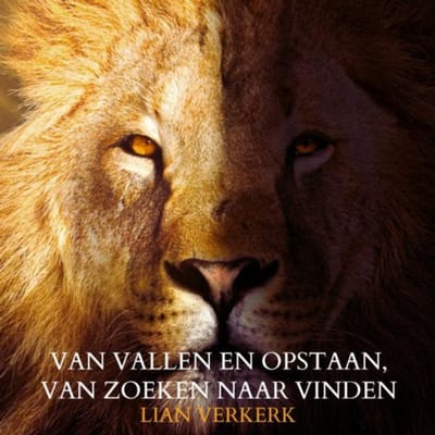 Van Vallen En Opstaan, Van Zoeken Naar Vinden - Lian Verkerk