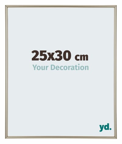 Your Decoration - Fotolijst 25x30 cm - Kunststof - Champagne - Annecy