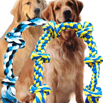 Honden Touw Speelgoed - Kauwspeelgoed Hond - Samen Spelen - Extra Sterk Ontwerp - 3 Meter Lang - Blauw Groen Geel