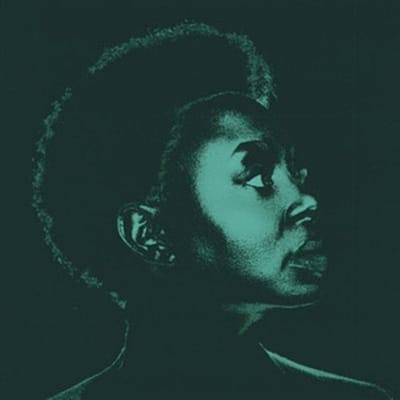 Ledisi - Sings Nina (CD)