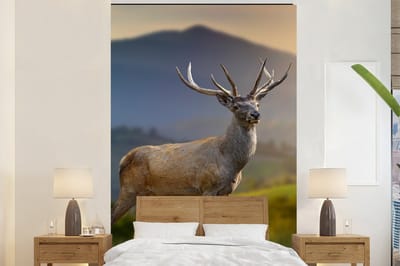 Behang - Fotobehang Hert - Berg - Gras - Zonsondergang - Dieren - Natuur - Breedte 155 cm x hoogte 240 cm