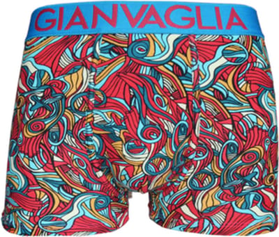GIANVAGLIA - 2 x Katoenen Boxershort mannen - Maat XXL