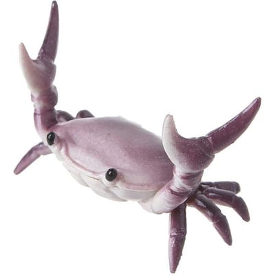 Makkelijk vast te houden Nuttig Gewichtheffen Krab Pennenhouder Heldere Kleur Krab Pennenhouder Simulatie voor Studenten