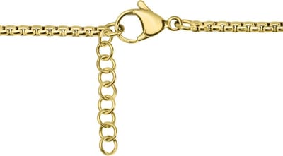 Quiges Anker Ketting RVS 42cm + 4cm Verlengstuk - Goudkleurig - EPK106