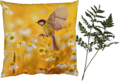 Sierkussens - Kussentjes Woonkamer - 40x40 cm - Vogel - Koolmees - Bloemen - Margriet