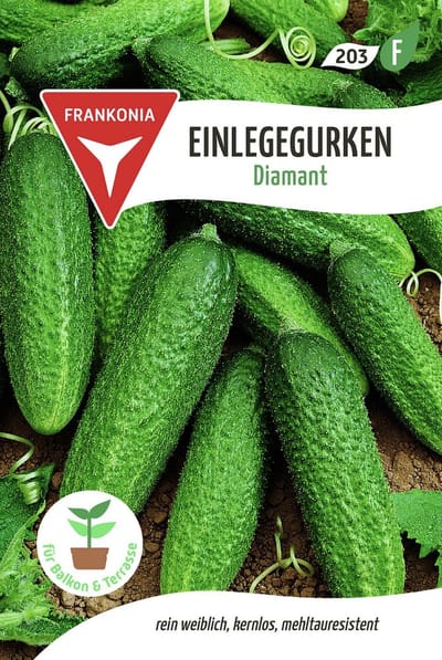 Augurkenkomkommer, Diamant F1 - Bestseller groentezaden komkommerzaden