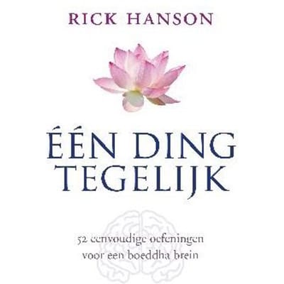 Een Ding Tegelijk - Rick Hanson