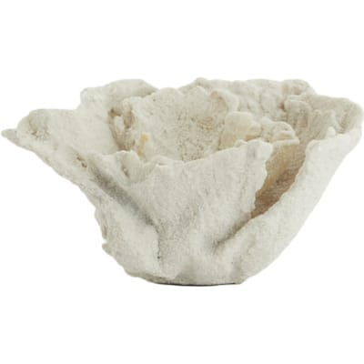 Light & Living - Ornament CORAL - 23x16x13cm - Wit