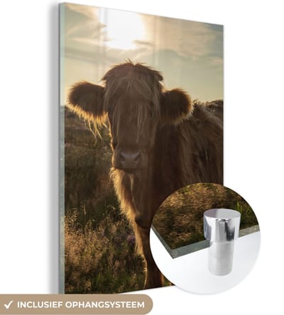 MuchoWow® Glasschilderij 120x160 cm - Schilderij acrylglas - Schotse Hooglander - Zonsondergang - Gras - Foto op glas - Schilderijen