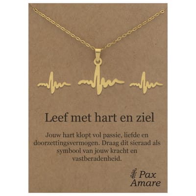 Stainless Steel Levenslijn Ketting + Oorbellen Setje op Cadeau Kaartje - Leef met hart en ziel - 45 cm ketting & ± 10x10mm Oorknopjes - Goudkleurig Roestvrij Staal - Pax Amare