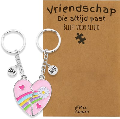 BFF Sleutelhanger voor 2 'Vriendschap die altijd past' - Roze Hartje met Bloem - Sleutelhanger set op Cadeau Kaartje - Zilverkleurig - Vriendschap Symbool - Pax Amare