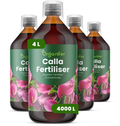 Vloeibare Meststof Voor Calla 4X1 L Voor 4000 L - Npk 3-4-3 - Krachtige Groei - Elegante Bloemstelen - Wortelstokontwikkeling - Grotere Bloemen - Langere Stelen - Verlengde Bloeiperiode - Plantvitaliteit - Organifer