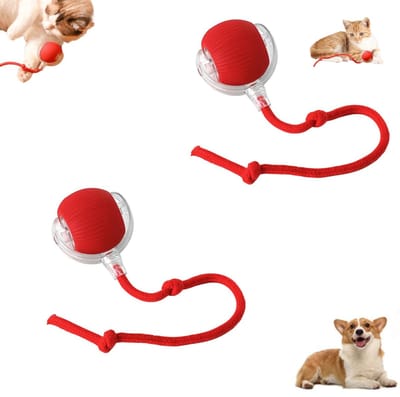 2 stuks - interactieve kattenspeelbal - Automatisch bewegende kattenbal - 360° slim rollend speelgoed - Binnenkattenspeelgoed - Sferische rollende interactieve speelgoedbal - Geschikt voor katten en honden (rood)