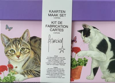 Kaarten maak set katten van Francien - 20 kaarten om zelf te maken met enveloppen - 6 verschillende designs - met foam en washitape