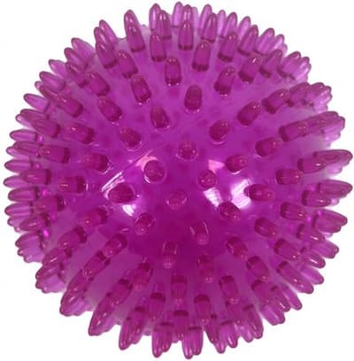 Zolux pop tpr stekelbal roze - 8X8X8 CM