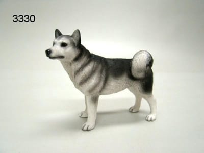 Beeld hond Husky