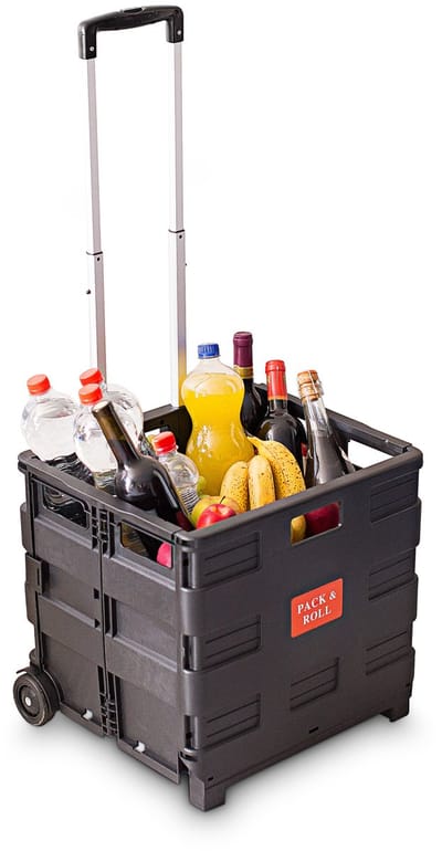 2x boodschappentrolley - krat op wielen - tot 35 kg - opvouwbaar - trolley