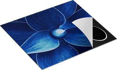 Chefcare Inductie Beschermer Blauwe Agave Plant - Bloem - 60x50 cm - Afdekplaat Inductie - Kookplaat Beschermer - Inductie Mat